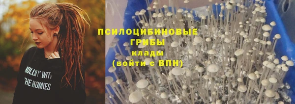 прущая мука Алексин